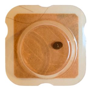 ETA 579.101 - 203 Roue intermédiaire (à l'unité) - Intermediate wheel and pinion (per unit)