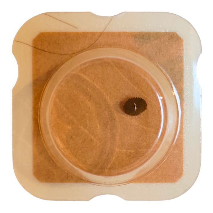 ETA 579.101 - 203 Roue intermédiaire (à l'unité) - Intermediate wheel and pinion (per unit)