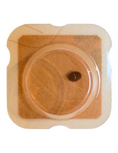 ETA 579.101 - 203 Roue intermédiaire (à l'unité) - Intermediate wheel and pinion (per unit)