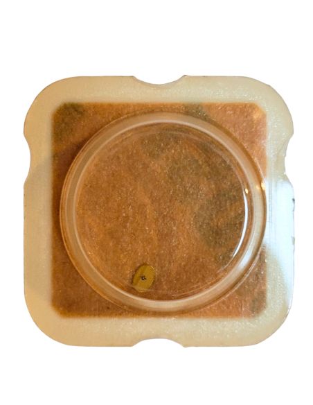 ESA 927.102 - 203 Roue intermédiaire (à l'unité) - Intermediate wheel and pinion (per unit)