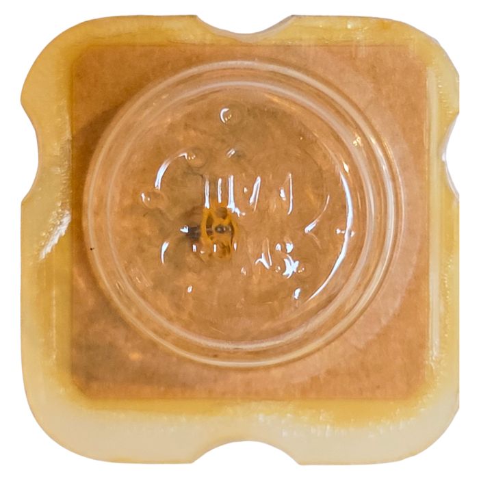 ETA 956.101 - 203 Roue intermédiaire (à l'unité) - Intermediate wheel and pinion (per unit)