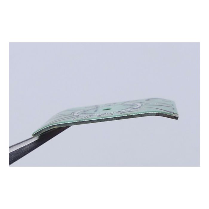 Franck Muller long island cadran