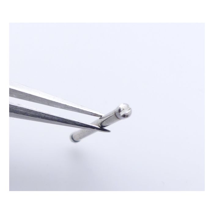 Zenith El Primero Rainbow Vis de maillon - link screw