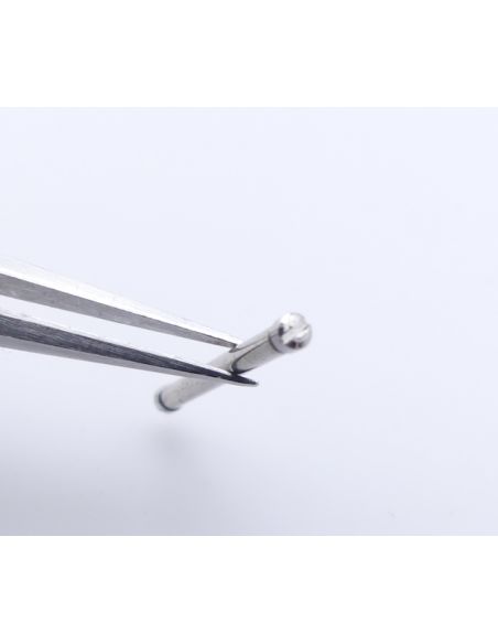 Zenith El Primero Rainbow Vis de maillon - link screw