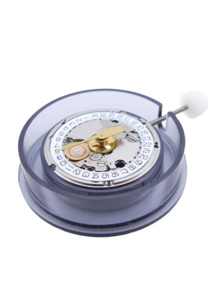 ETA 556.115 Mouvement - Movement