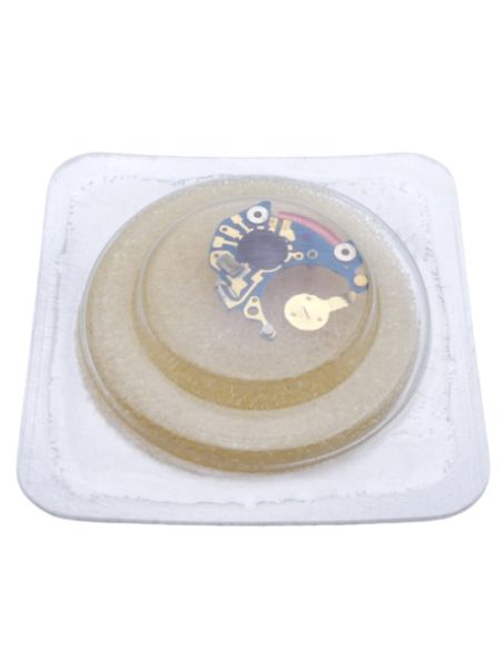 ETA 977.001 module - Electronic module