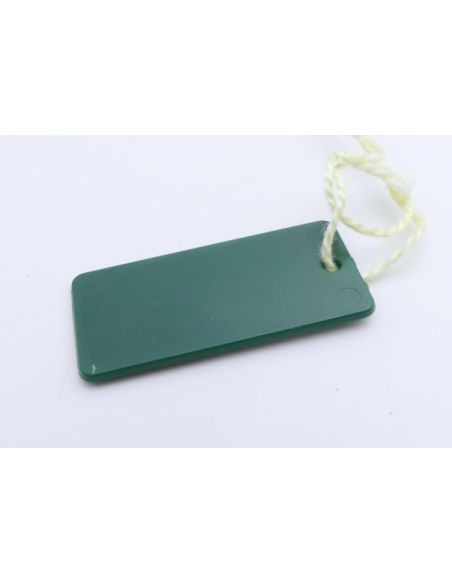 Rolex Tag prix - Green Swing tag