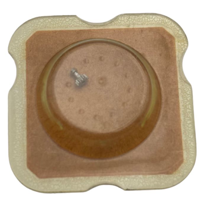 As 1088 - 240 Chaussée lanternée - Cannon pinion