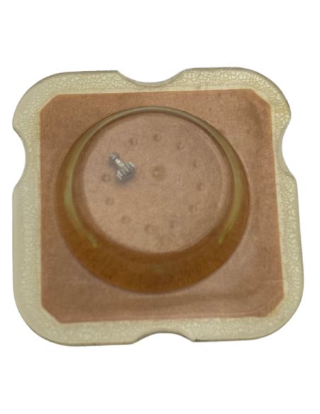 As 1088 - 240 Chaussée lanternée - Cannon pinion