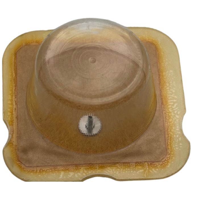 Esa 900.231 - 240 Chaussée lanternée - Cannon pinion