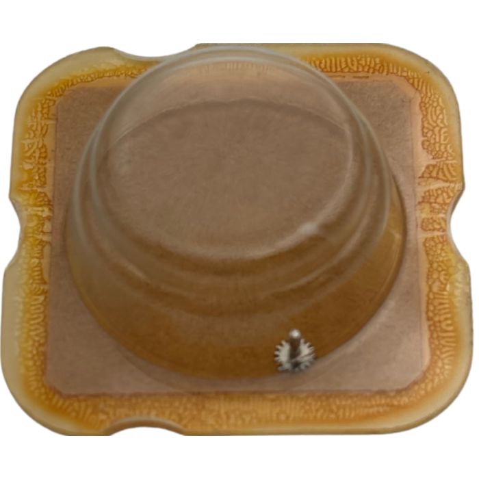 Esa 926.311 - 240 Chaussée lanternée - Cannon pinion