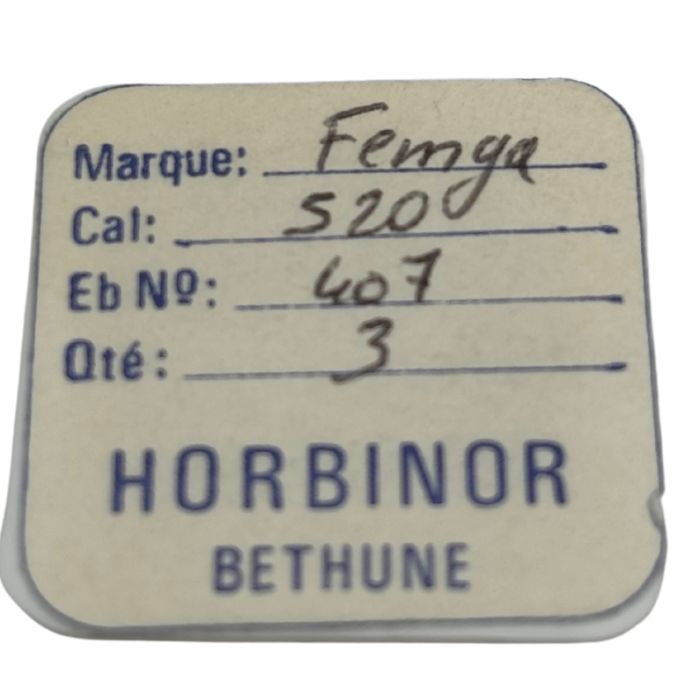 Femga 520 - 407 Pignon coulant (à l'unité) - Clutch wheel (per unit)