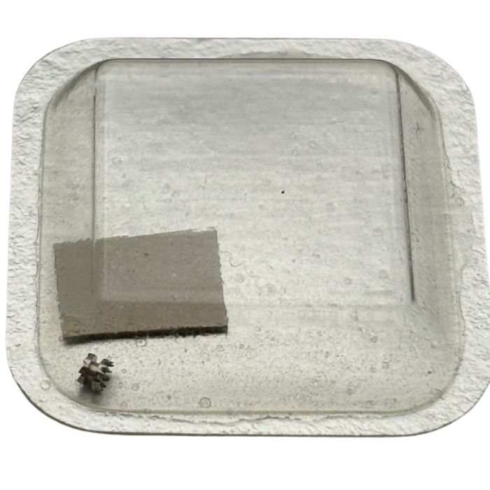 Tissot 2321 - 407 Pignon coulant (à l'unité) - Clutch wheel (per unit)