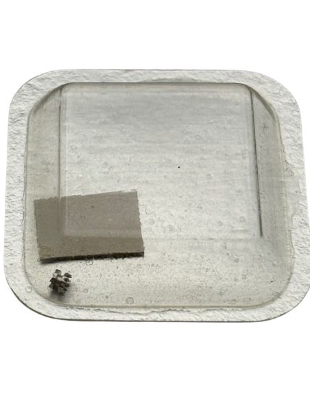 Tissot 2321 - 407 Pignon coulant (à l'unité) - Clutch wheel (per unit)