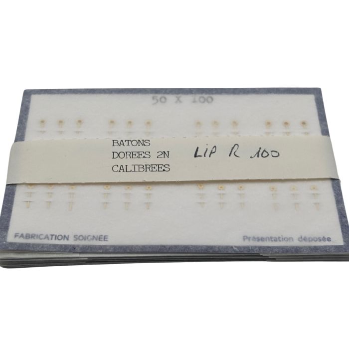 LIP R100 Aiguilles - Hands