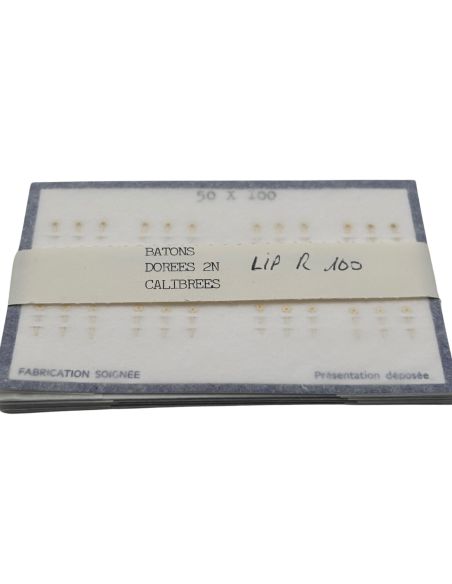 LIP R100 Aiguilles - Hands