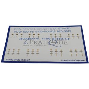 ESA 961.001 Aiguilles - Hands