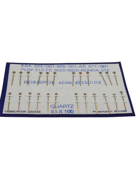 ESA 924.001 Aiguilles - Hands