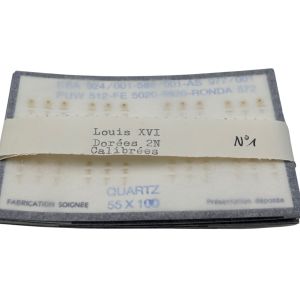 ESA 924.001 Aiguilles - Hands