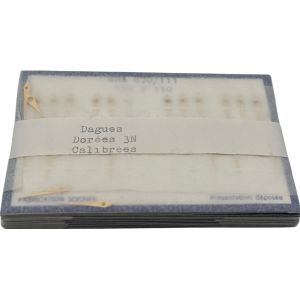 ESA 870 Aiguilles - Hands