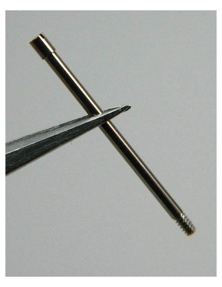 Ulysse Nardin Vis de maillon