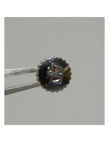 Tissot couronne anti poussière