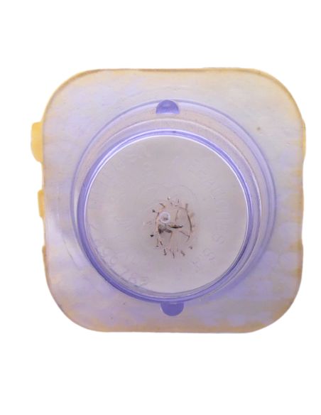 AS 1430 702 Roue d'ancre pivotée pour deux contre-pivots - Escape wheel and pinion pivoted for two end-pieces