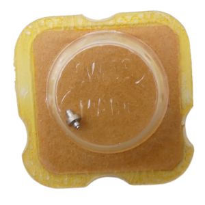 AS 1477 195 Arbre de Barillet - Barrel arbor