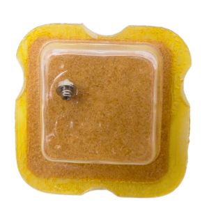 AS 1506 195 Arbre de Barillet - Barrel arbor