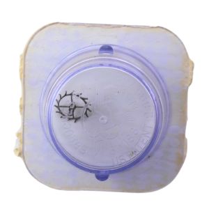 AS 1506 42 Roue d'ancre pivotée pour deux contre-pivots - Escape wheel and pinion pivoted for two end-pieces