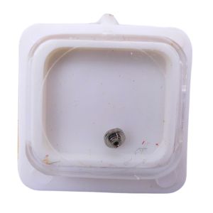 AS 1525 195 Arbre de Barillet - Barrel arbor