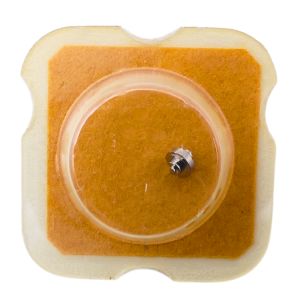 AS 1538 42 Arbre de Barillet - Barrel arbor