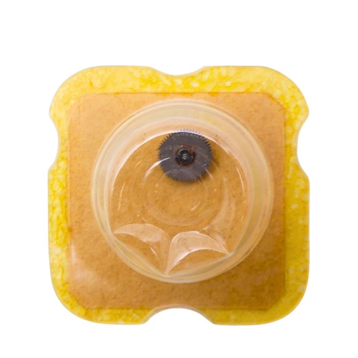 AS 1635 1488 Roue-cliquet complète - Pawl winding wheel complete