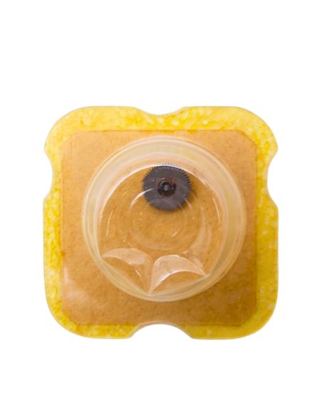 AS 1635 1488 Roue-cliquet complète - Pawl winding wheel complete