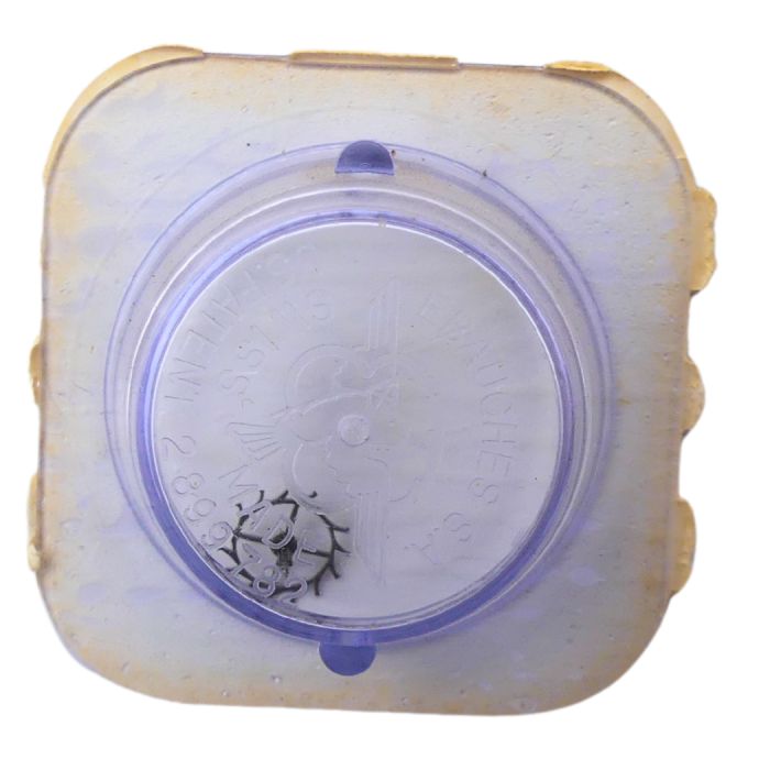 AS 1676 42 Roue d'ancre pivotée pour deux contre-pivots - Escape wheel and pinion pivoted for two end-pieces