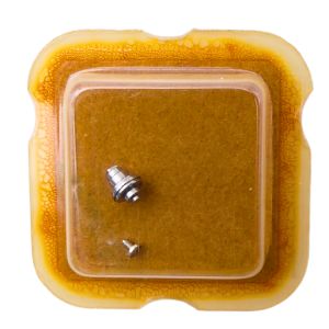 AS 1710 195 Arbre de Barillet - Barrel arbor