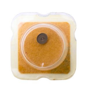 AS 1716 42 Roue-cliquet complète - Pawl winding wheel complete