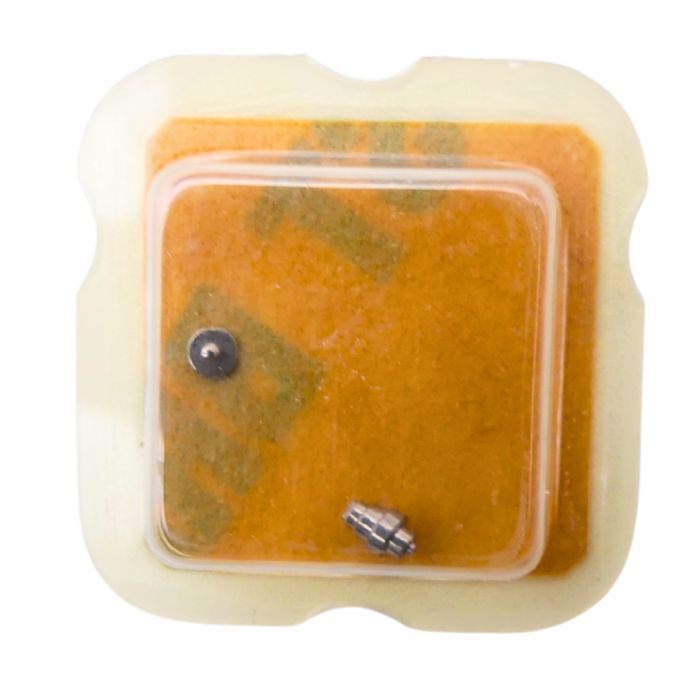 AS 1726 42 Arbre de Barillet - Barrel arbor