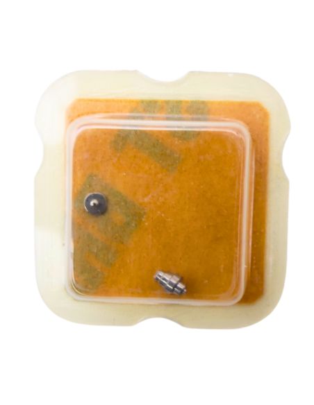 AS 1726 195 Arbre de Barillet - Barrel arbor