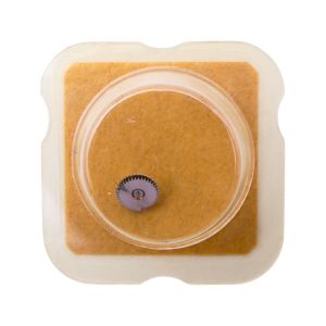 AS 1748 42 Roue-cliquet complète - Pawl winding wheel complete