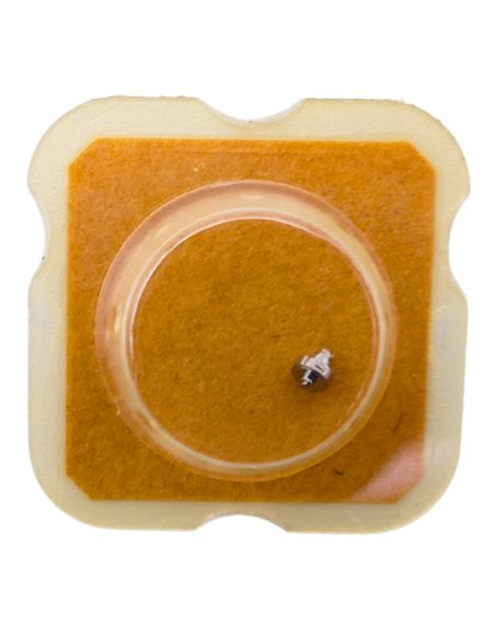 AS 1780 195 Arbre de Barillet - Barrel arbor