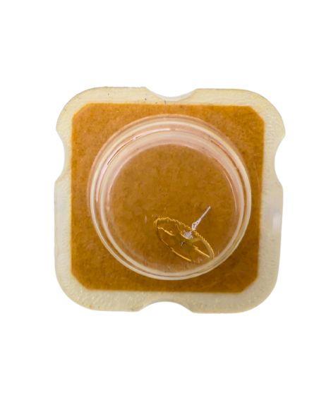 AS 1900 227 Roue de seconde au centre - Barrel arbor