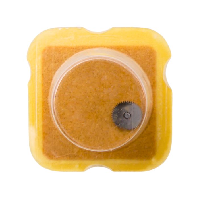 AS 5004 1488 Roue-cliquet complète - Pawl winding wheel complete