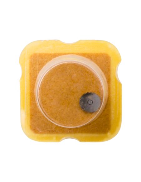 AS 5004 1488 Roue-cliquet complète - Pawl winding wheel complete