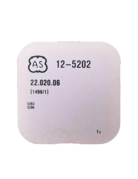 AS 5202 42 Axe de masse oscillante- Oscillating weight axle