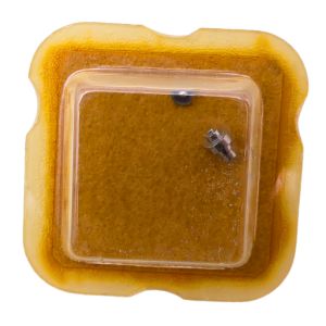 AS 970 42 Arbre de Barillet - Barrel arbor