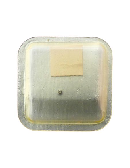 Certina 13-20 42 Renvoi - Setting wheel