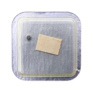 Certina 25-65 42 Renvoi - Setting wheel