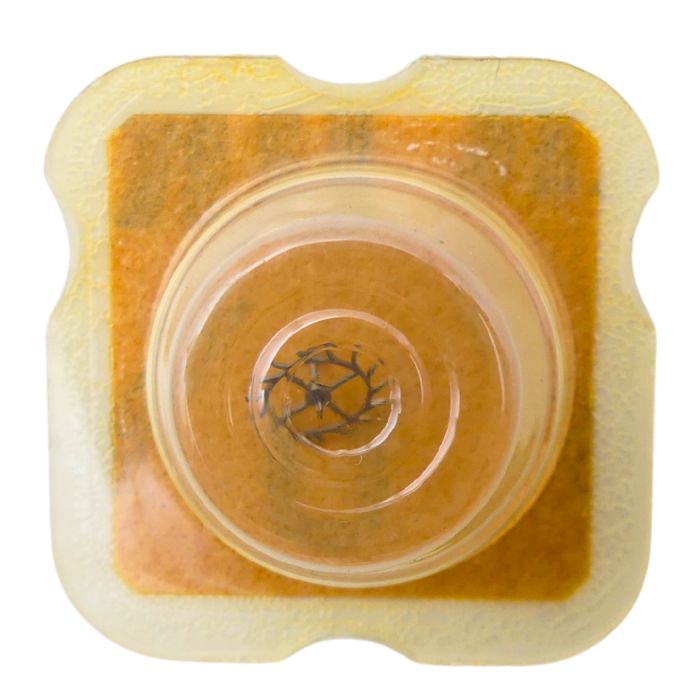 ETA 1080 42 Roue d'ancre pivotée pour deux contre-pivots - Escape wheel and pinion pivoted for two end-pieces