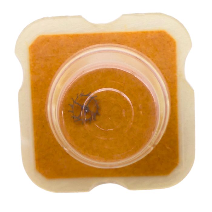 ETA 2360 702 Roue d'ancre pivotée pour deux contre-pivots - Escape wheel and pinion pivoted for two end-pieces